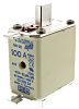 100A Fuse