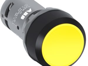 CP1 10Y 20