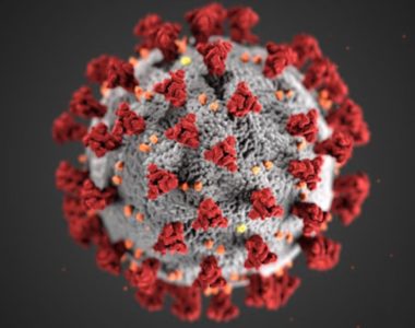 corona virus
