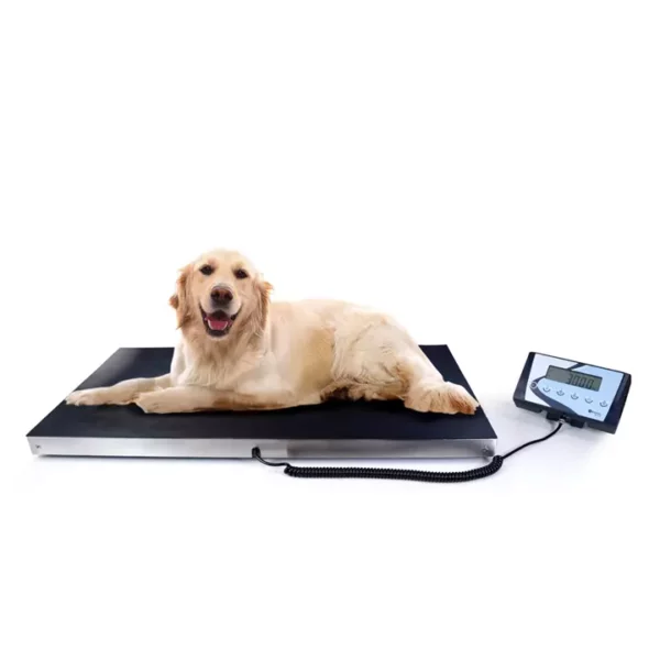 BALANCE IDEAL POUR PESER DES ANIMAUX VIVANTS ET DES COLIS NEXA INDUSTRIES CAMEROUN