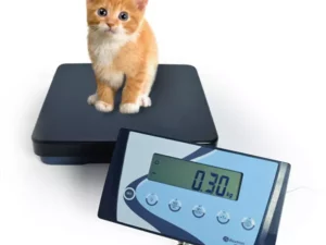 BALANCE IDEAL POUR PESER DES ANIMAUX VIVANTS ET DES COLIS NEXA INDUSTRIES CAMEROUN