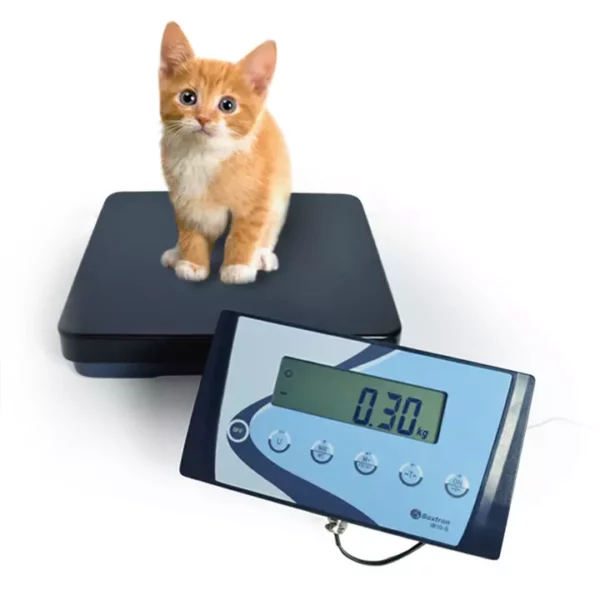 BALANCE IDEAL POUR PESER DES ANIMAUX VIVANTS ET DES COLIS NEXA INDUSTRIES CAMEROUN